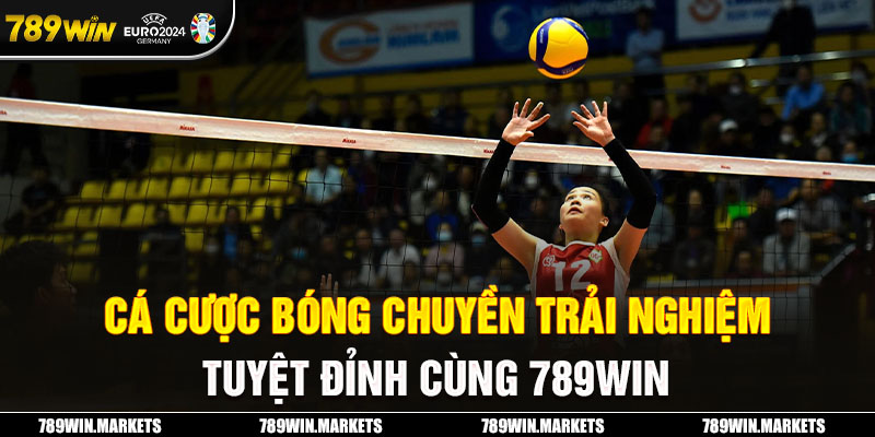 Cá Cược Bóng Chuyền Trải Nghiệm Tuyển Đỉnh Cùng 789Win