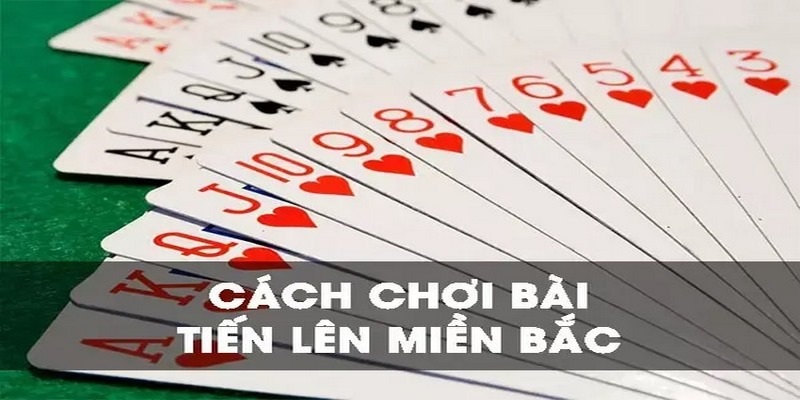 Hãy học cách chơi TLMB từ các cao thủ để tăng khả năng thắng